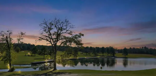 10733 Ruger RD, Willis, TX 77378
