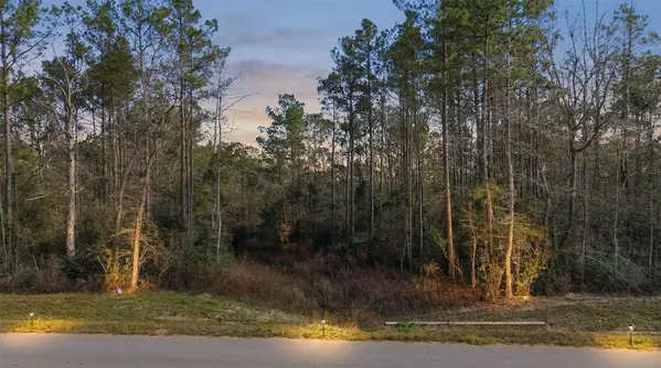 10733 Ruger RD, Willis, TX 77378