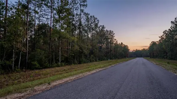 10733 Ruger RD, Willis, TX 77378