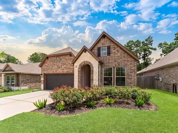 128 Winged Elm CT
