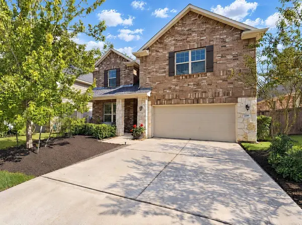 230 Elianne Lace CT