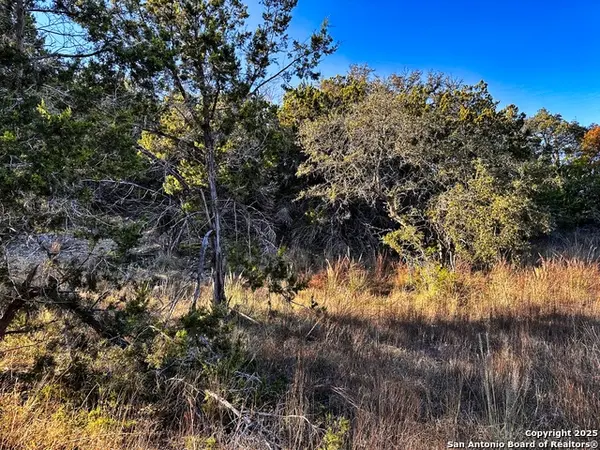 628 Indian Trl, Spring Branch, TX 78070