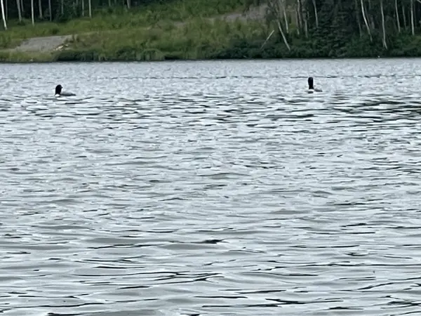 3410 N Paradise Ln, Wasilla, AK 99623-9262