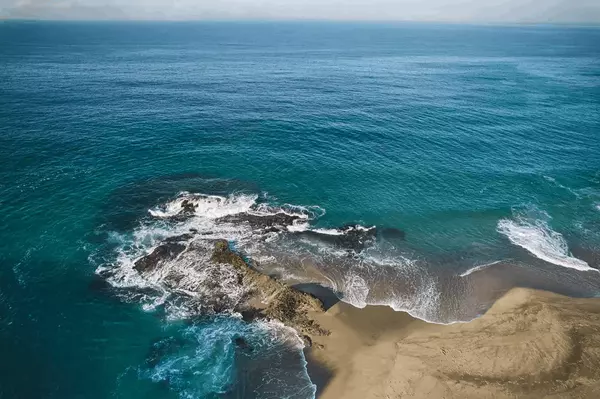 Jill Witte Coastal Real Estate Newsletter | August 2025