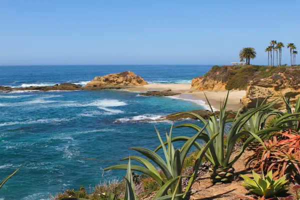feature image of Jill Witte Coastal Real Estate Newsletter | May 2026