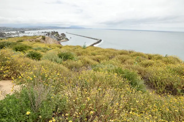 feature image of Jill Witte Coastal Real Estate Newsletter | July 2026