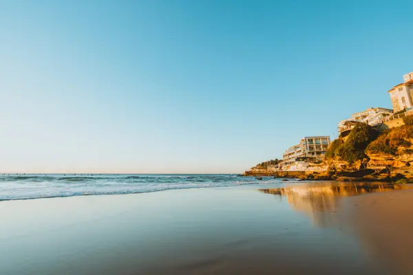 Jill Witte Coastal Real Estate Newsletter | August 2026