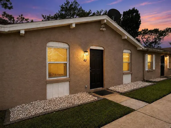 43 W LAS PALMAS WAY, Kissimmee, FL 34743