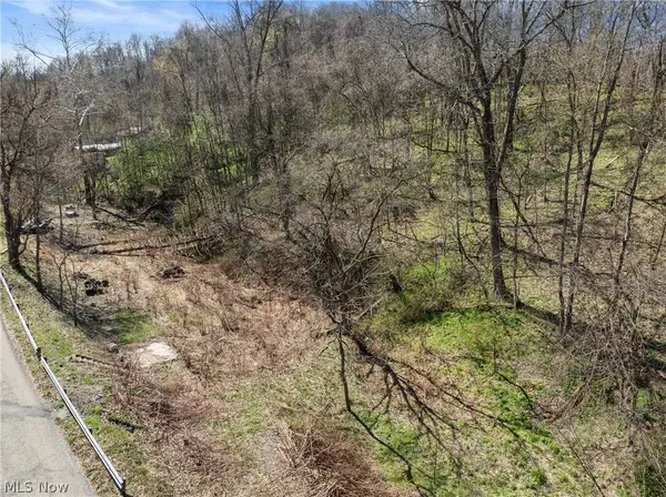 115 Township Road 501, Mingo Junction, OH 43938