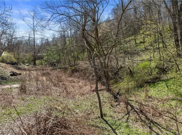 115 Township Road 501, Mingo Junction, OH 43938