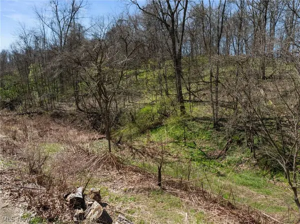 115 Township Road 501, Mingo Junction, OH 43938