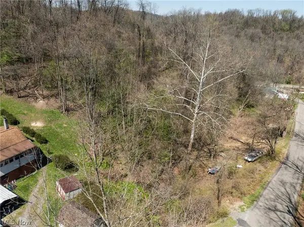 115 Township Road 501, Mingo Junction, OH 43938