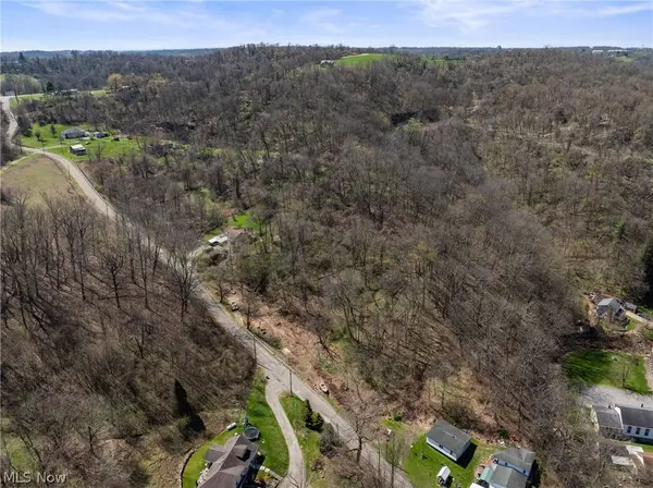 115 Township Road 501, Mingo Junction, OH 43938