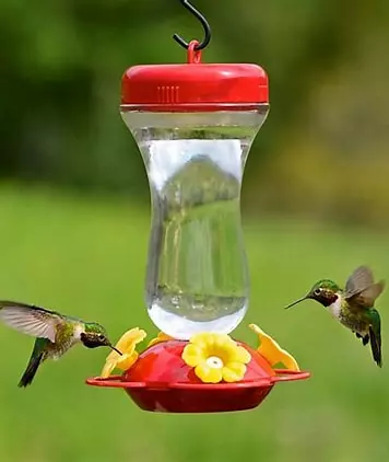 HOW TO MAKE HUMMINGBIRD NECTAR,Dino Amato