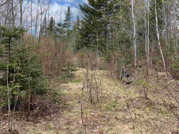 Chipper LN, Milan, NH 03588