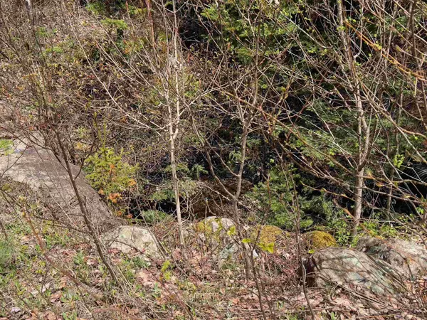 Chipper LN, Milan, NH 03588