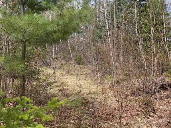 Chipper LN, Milan, NH 03588