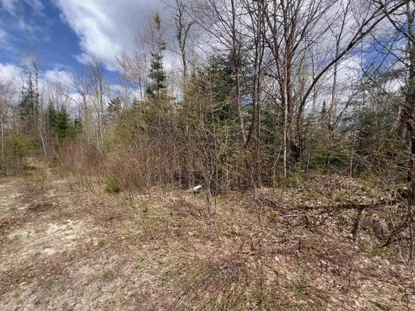 Chipper LN, Milan, NH 03588