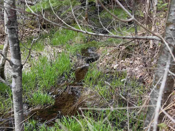 Chipper LN, Milan, NH 03588