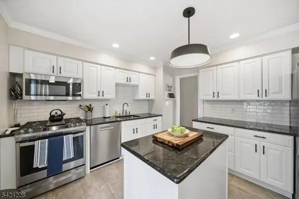 317 Rexland Dr, Boonton Town, NJ 07005