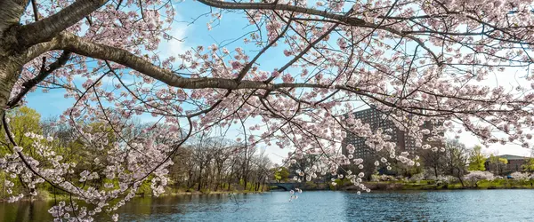 Essex County Housing Market: Inventory Pressure Is No Longer Theoretical