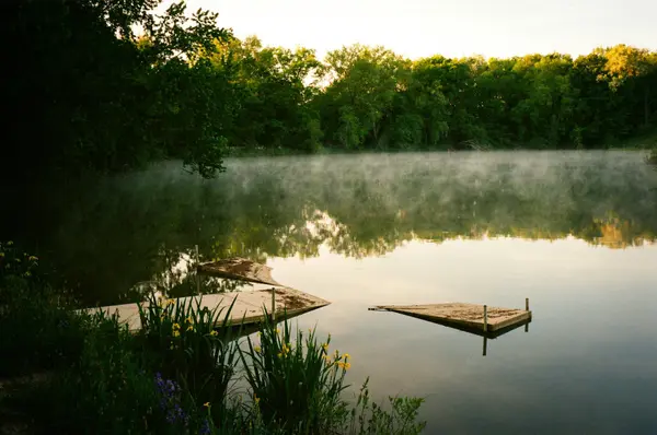Your Guide to Buying Land for the Ultimate Outdoor Lifestyle in Mississippi
