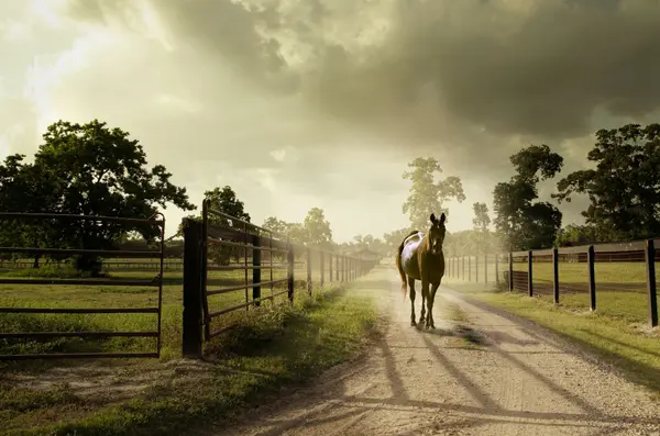 Buying a Hobby Farm Near Jackson, MS: What to Check Before You Buy