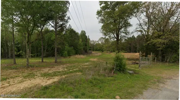 243 Old 51 Road, Pickens, MS 39146