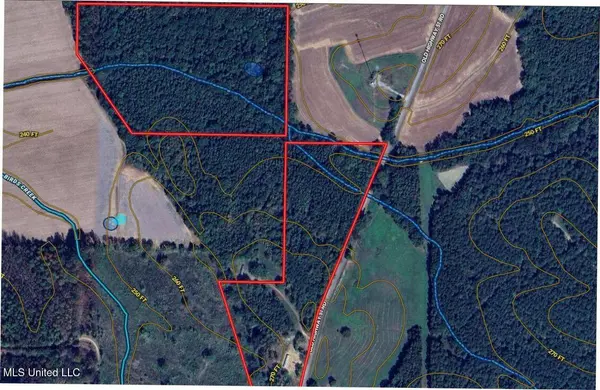 243 Old 51 Road, Pickens, MS 39146