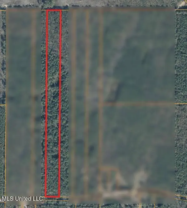 0 Holly Bush Road, Pelahatchie, MS 39145