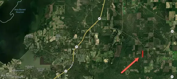 0 Holly Bush Road, Pelahatchie, MS 39145