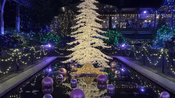 Christmas Activities in the Fraser Valley & Metro Vancouver: Local Favorites & Hidden Gems