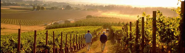 My Top 5 Wineries in the Fraser Valley,Kary Herar