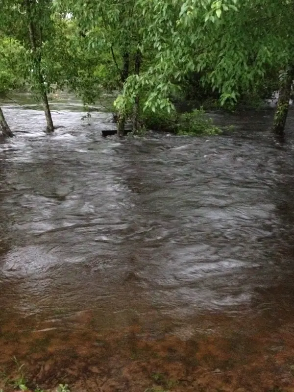 Kayaking in Baldwin County, Alabama: A Local Guide to the Rivers & Creeks
