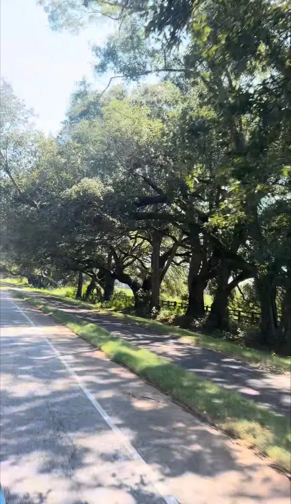 Eastern Shore Trail Expansion: What Baldwin County's Growing Bike-and-Walk Path Means for the Eastern Shore