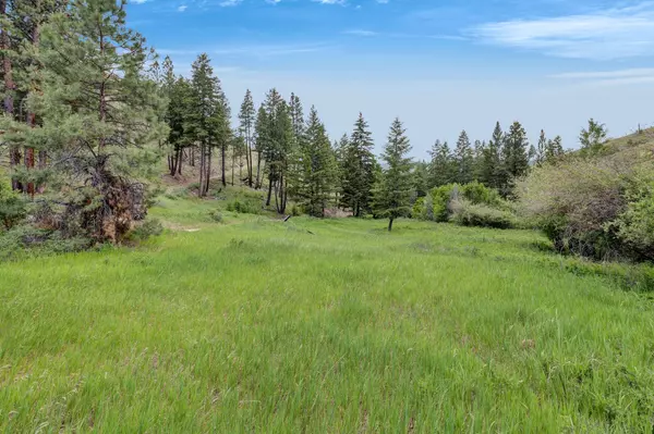Nhn Dugout Gulch RD, Darby, MT 59829