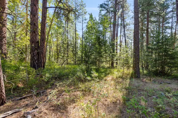 512 Lookout TRL, Stevensville, MT 59870