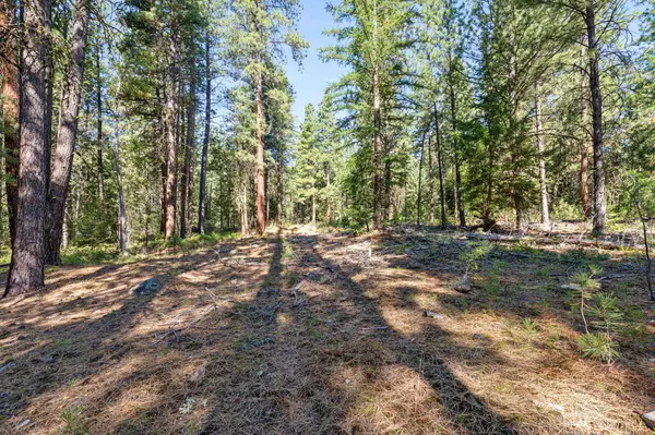 512 Lookout TRL, Stevensville, MT 59870