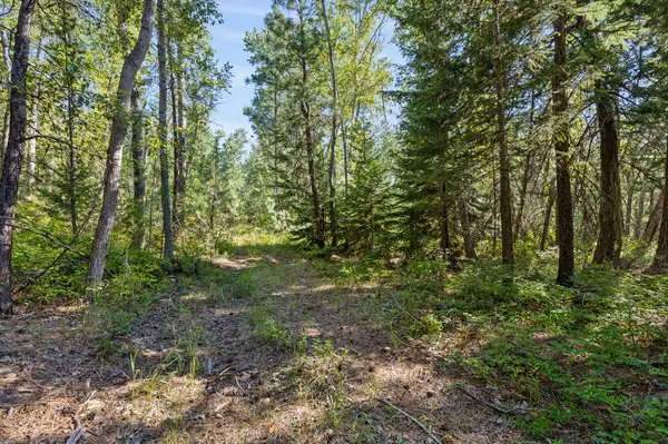 512 Lookout TRL, Stevensville, MT 59870