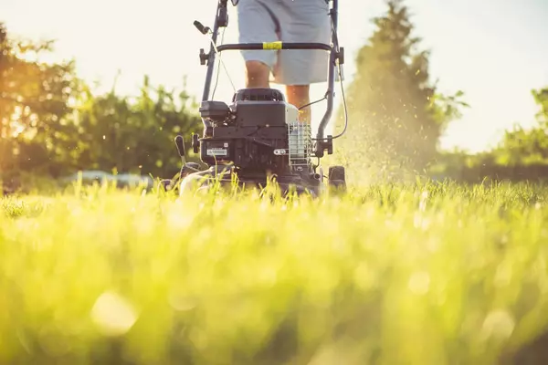 Gas Versus Electric Push Mowers: Which One's Right for You?