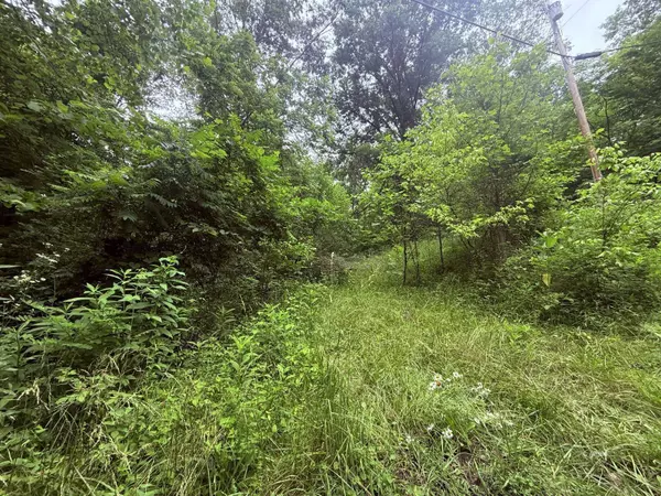 4103 S Rodehaver Rd, Guysville, OH 45735