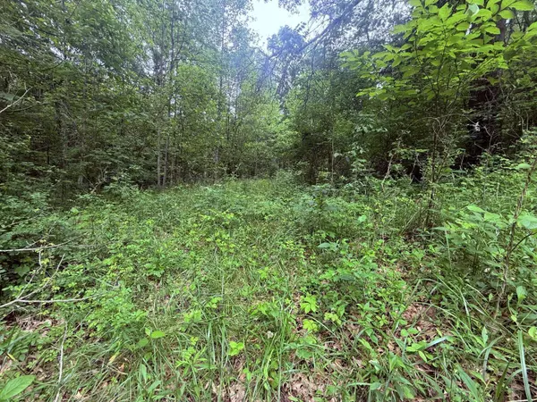 4103 S Rodehaver Rd, Guysville, OH 45735