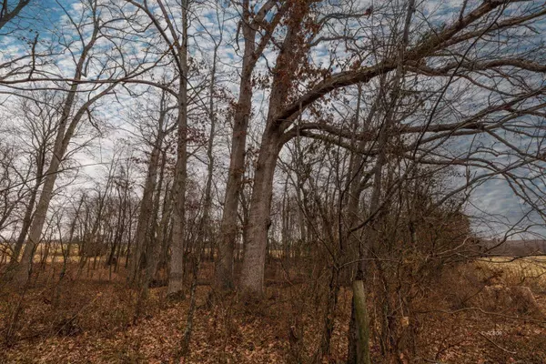 Carpenter Rd, Albany, OH 45710