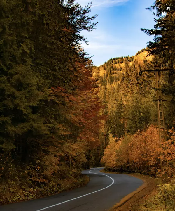 Early Autumn Home Prep: Quick Hacks for Colorado Homeowners