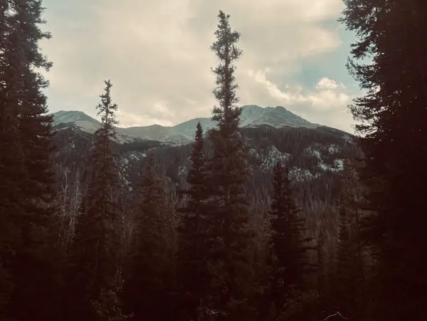 Anna's Beginner Guide to 14ers | Peña Picks: Summer Edition 