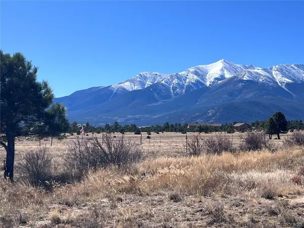 000 County Road 361, Buena Vista, CO 81211