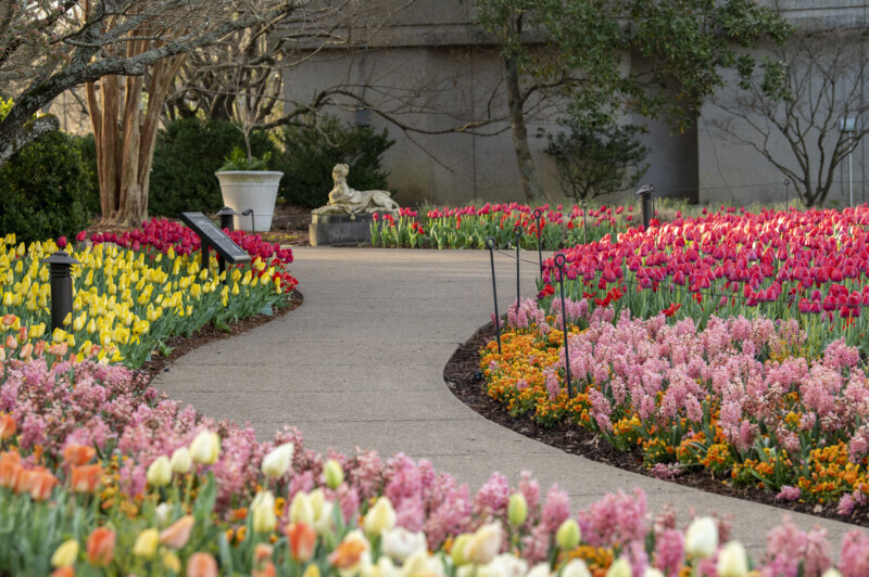 Cheekwood Garden Nashville