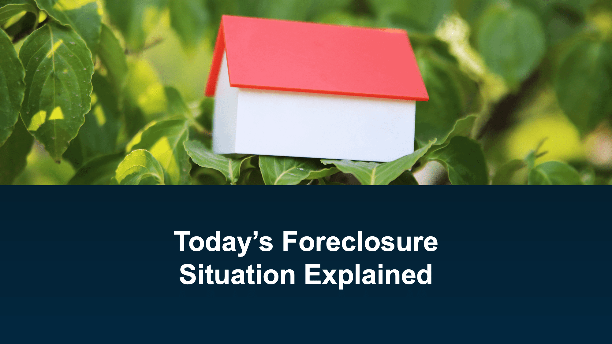 Realtor Christopher Munkel showing how foreclosures are impacting the housing market across the United States.