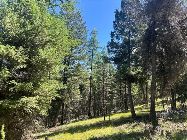 332 Racheals Meadow LN, Kila, MT 59920