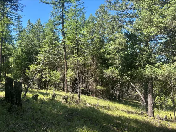 332 Racheals Meadow LN, Kila, MT 59920